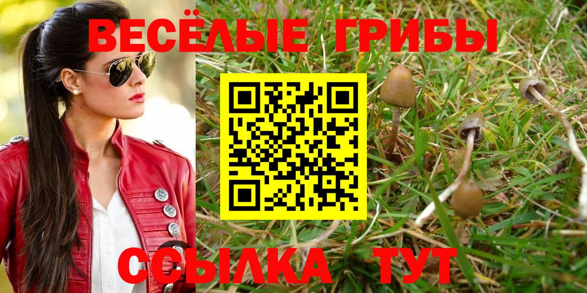Псилоцибиновые грибы GOLDEN TEACHER Учалы