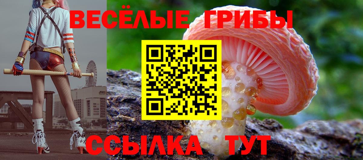 Галлюциногенные грибы прущие грибы  Галлюциногенные грибы Magic Shrooms  Учалы  Вход с VPN 